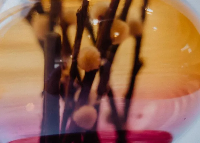 The Old Brewery Holiday home *